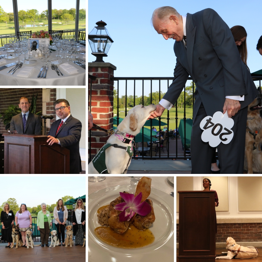 A collage of images: a plated course; Bryant at the podium with her Seeing Eye dog beside her; group of raisers standing with their puppies; Sen. Bucco and Reed Kean at podium: a man pets a yellow Lab pup; a table set with bouquet of roses and photo of Seeing Eye puppy as the centerpiece.