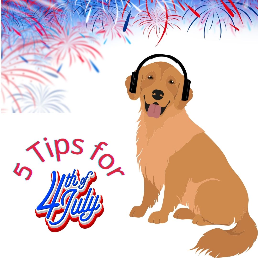 A cartoon golden retriever is smiling while wearing noise-cancelling headphones. Fireworks explode in the sky behind him. Text reads, 