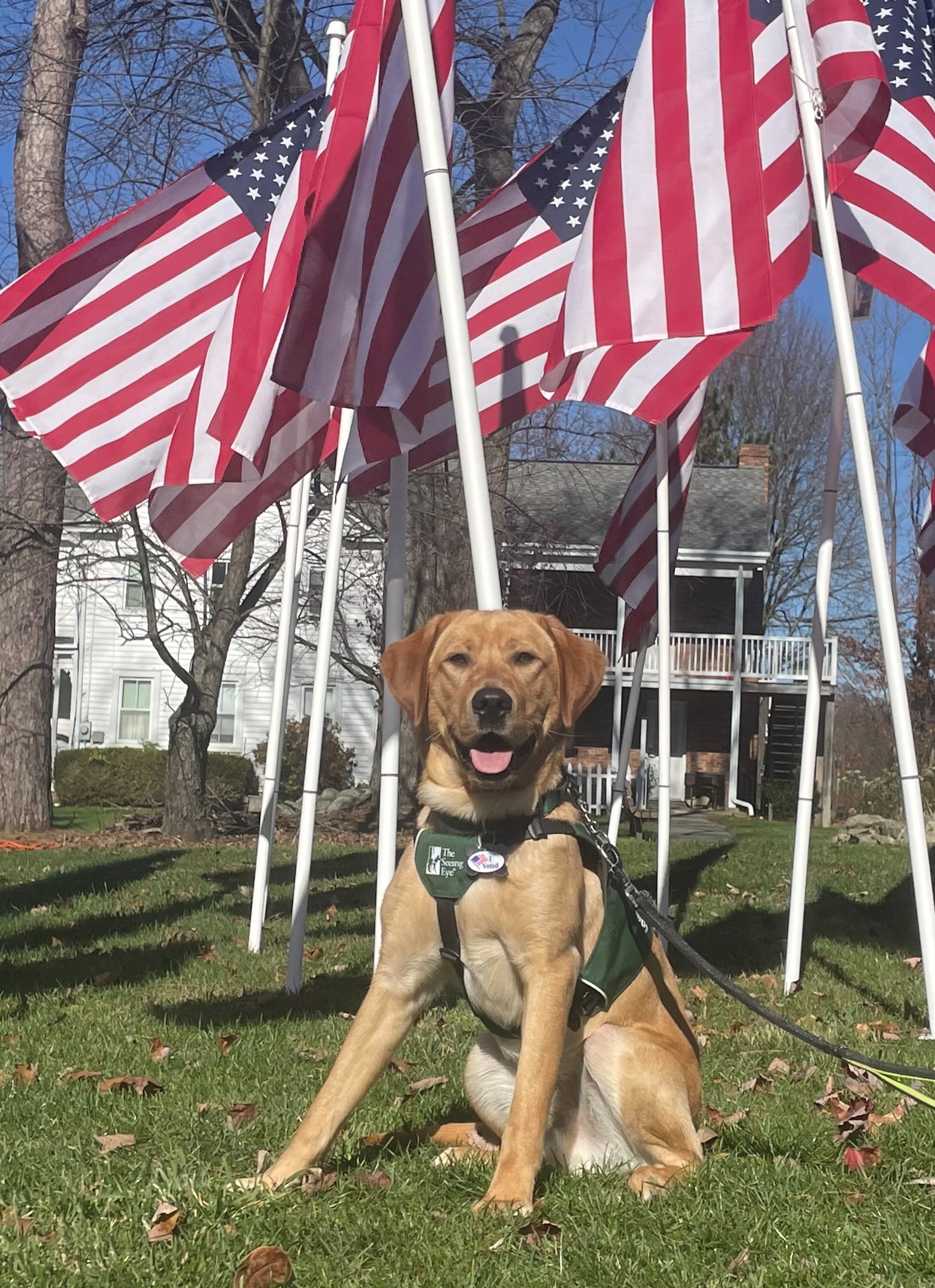 Robbie in front of an array of American flags.