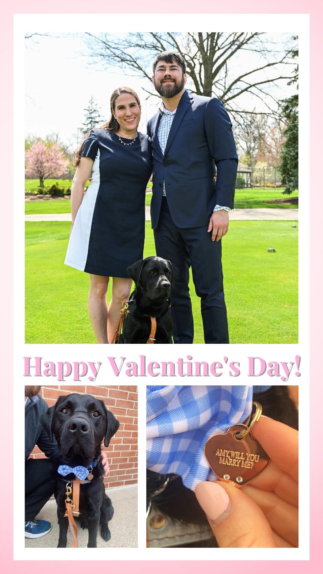 A collage of three images: A young couple smiling in a park with a black lab seated between them; a close-up of a black Lab wearing a leather harness and blue bow tie; an extreme close-up of a gold heart-shaped dog tag with crystals that reads, 