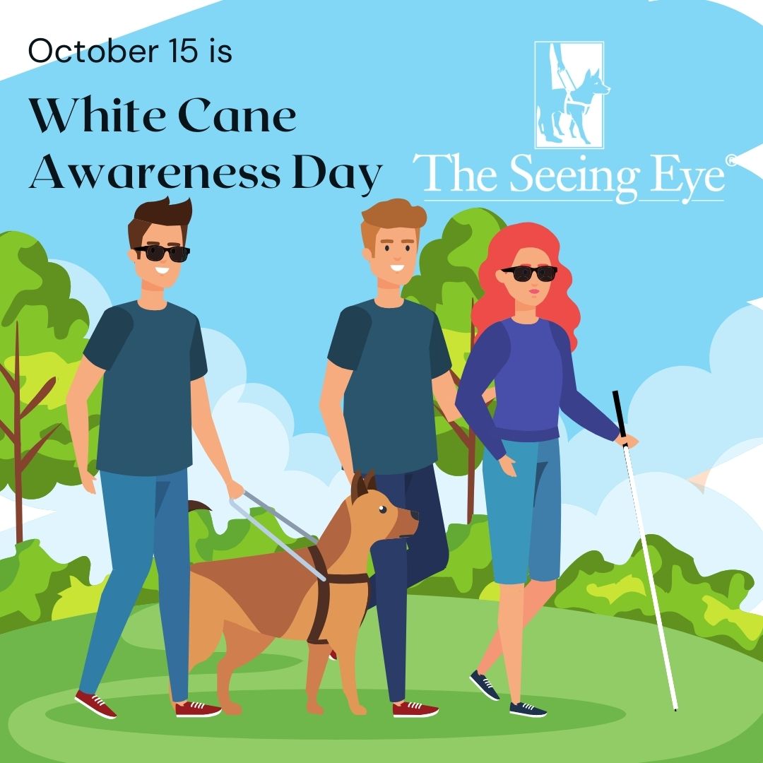 An illustration three friends walking in a park together. A man has a guide dog and a woman has a white cane. Text reads, October 15 is white cane awareness day.