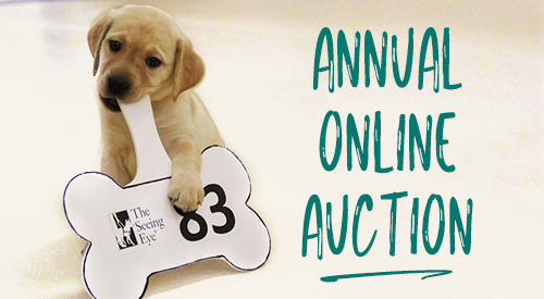 
A yellow lab Seeing Eye puppy chewing on an auction paddle.

