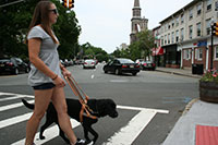 A young woman crosses a street in Morristown with her black Lab guiding her.