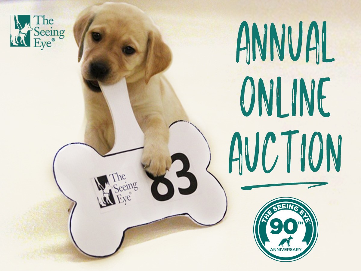 A yellow Lab puppy rests on the floor and chews on the handle of an auction paddle. 