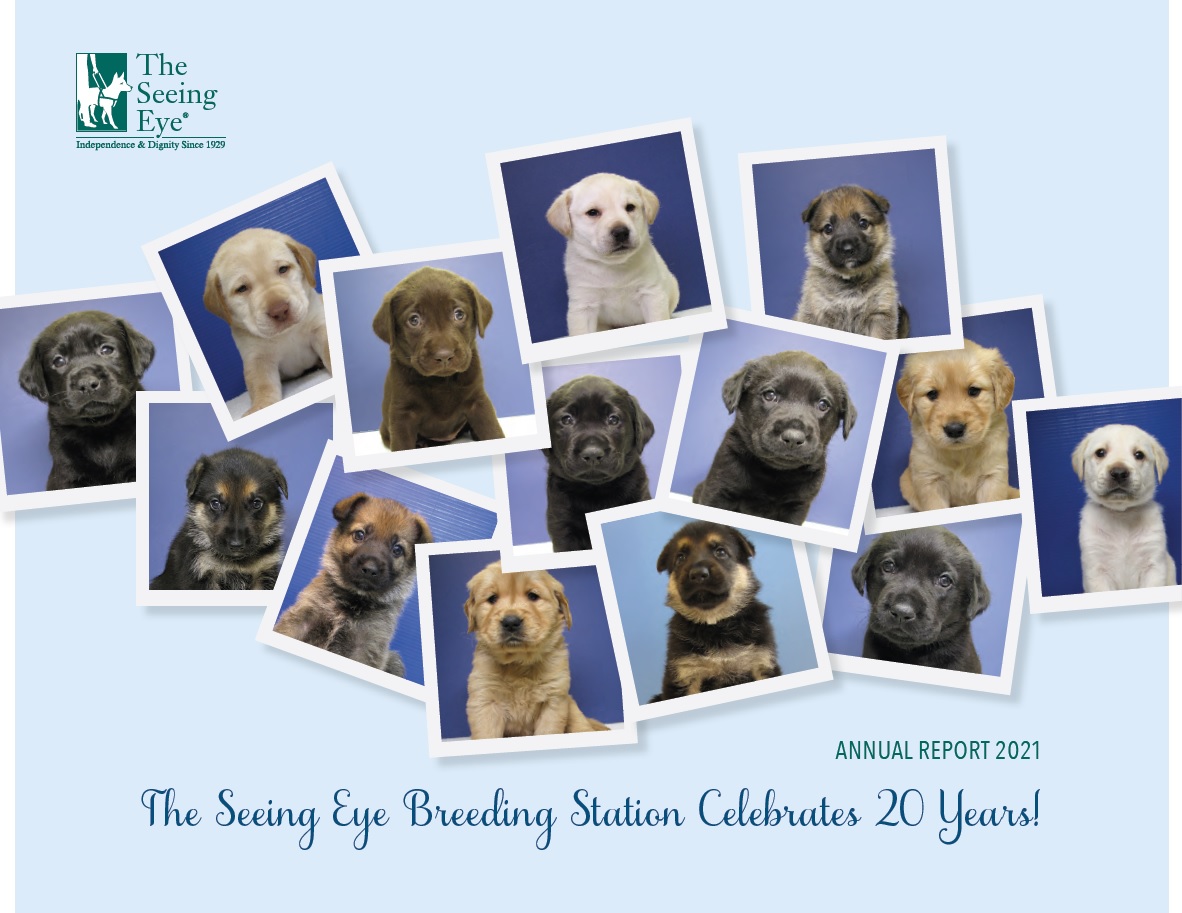The cover of The Seeing Eye Annual Report 2021 shows fourteen photos of one-month-old Seeing Eye puppies -- German shepherds, golden retrievers, Labrador retrievers, and Labrador/golden retriever crosses. The text on the cover reads: 'The Seeing Eye Annual Report 2021. The Seeing Eye Breeding Station Celebrates 20 Years!'