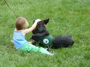 A young child rests in the grass alongside a German shepherd puppy, petting him. They are shown from behind.